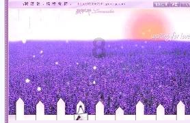 内蒙古妇联：为书写中国式现代化内蒙古新篇章贡献北疆巾帼力量